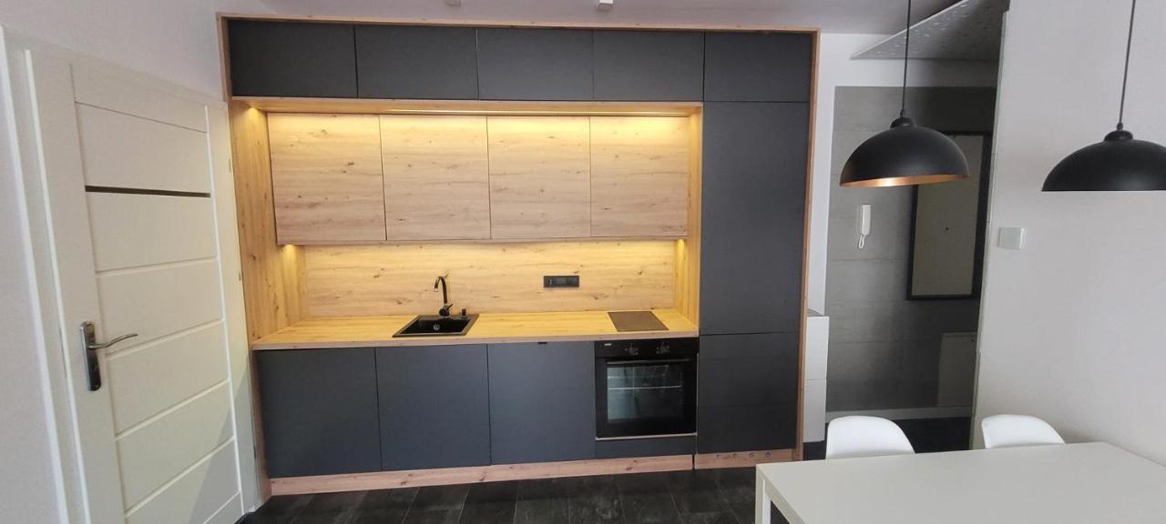 Apartament Wakacyjny Z Klimatyzacja コウォブジェク エクステリア 写真