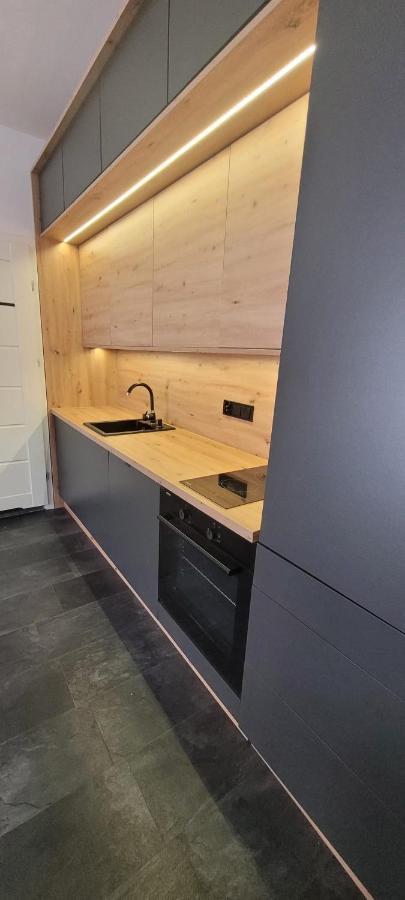 Apartament Wakacyjny Z Klimatyzacja コウォブジェク エクステリア 写真